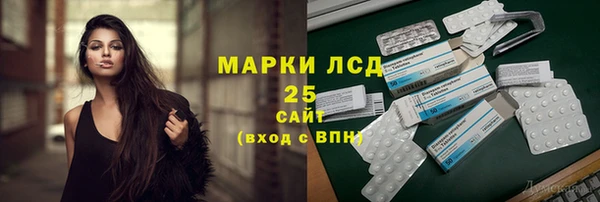 сатива Верея